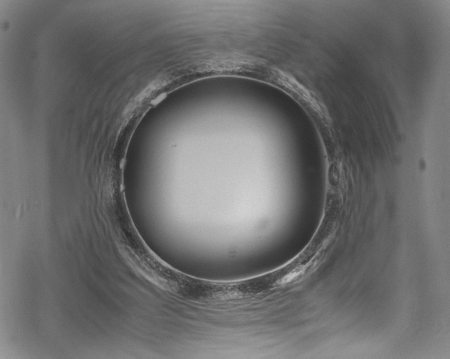 X0000069390203200605121219