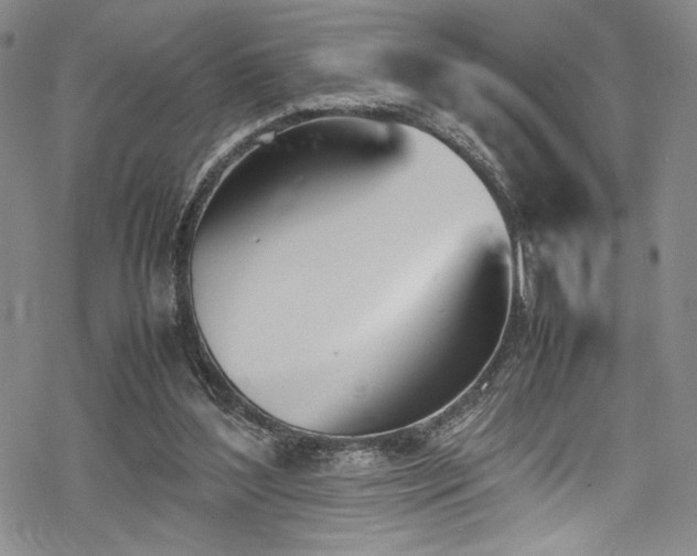 X0000069390204200605121219