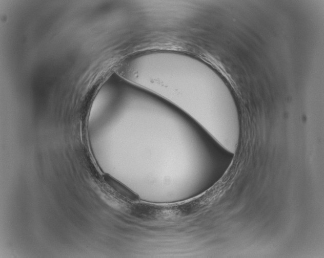 X0000069390205200605121219