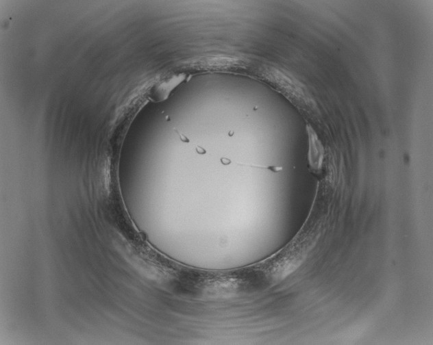 X0000069390206200605121219