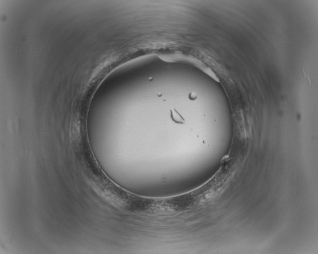 X0000069390207200605121219