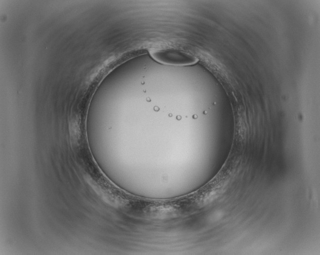 X0000069390208200605121219