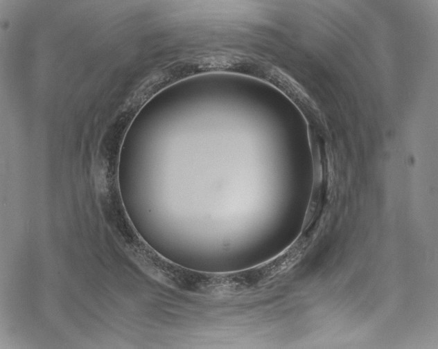 X0000069390209200605121219