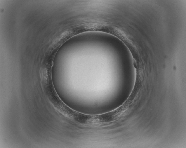 X0000069390211200605121219