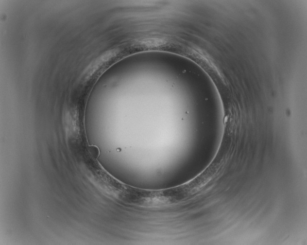 X0000069390212200605121219