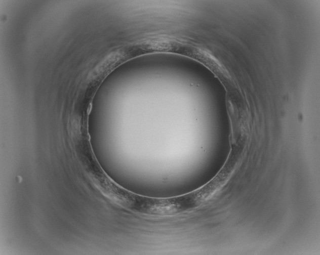 X0000069390213200605121219