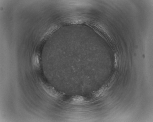 X0000069390214200605121219