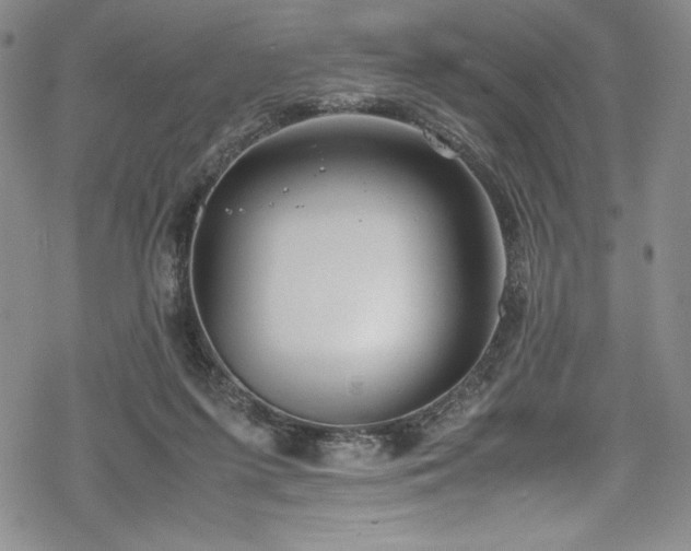 X0000069390215200605121219