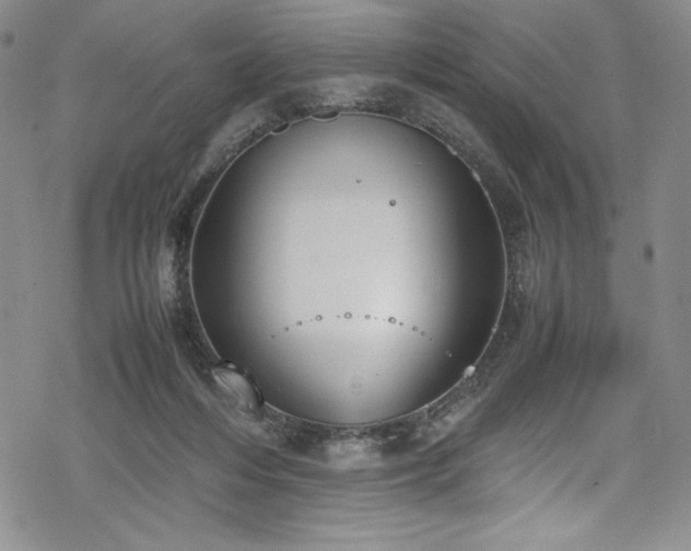 X0000069390216200605121219