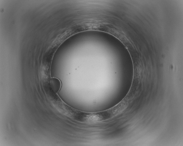 X0000069390218200605121219