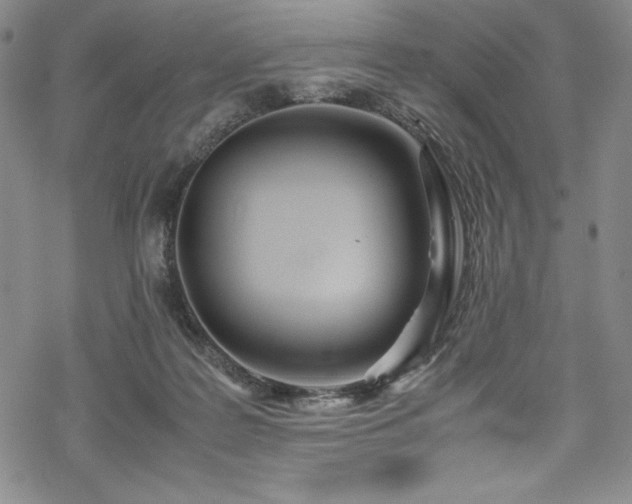 X0000069390219200605121219