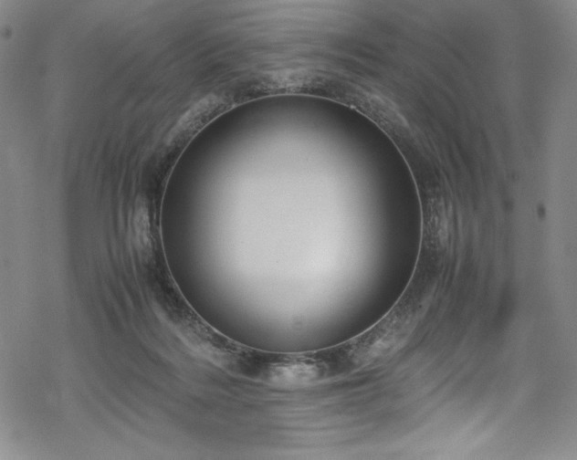 X0000069390220200605121219