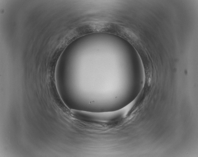 X0000069390221200605121219