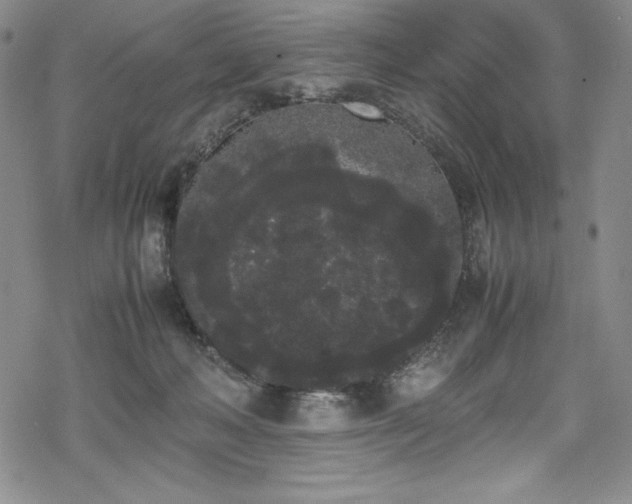 X0000069390222200605121219