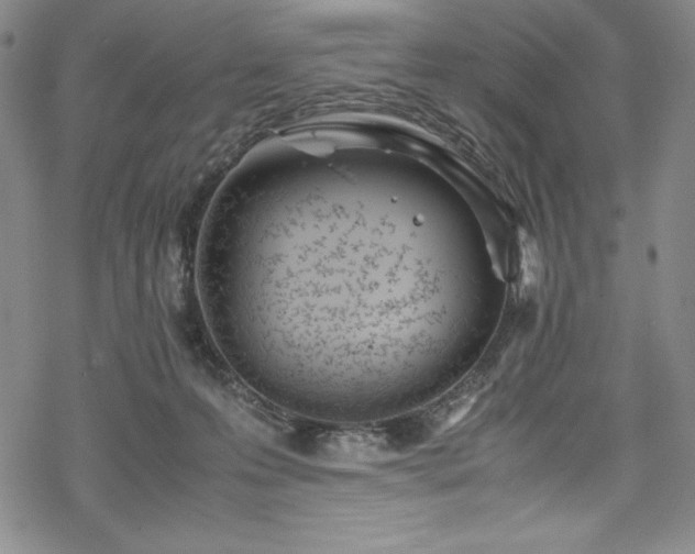 X0000069390223200605121219