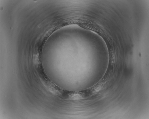 X0000069390224200605121219