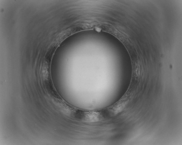 X0000069390226200605121219