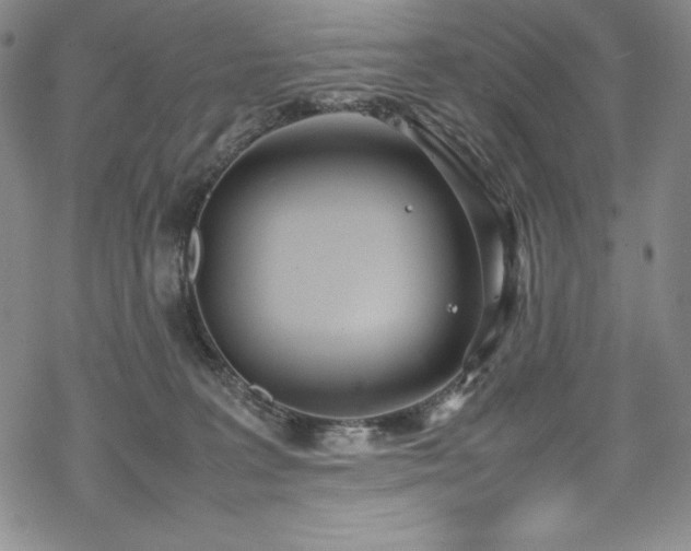 X0000069390227200605121219