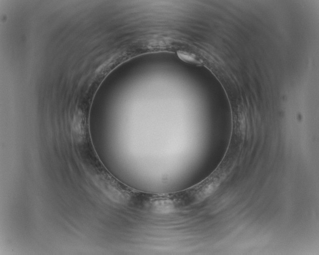 X0000069390228200605121219