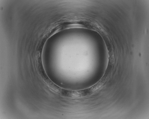 X0000069390229200605121219