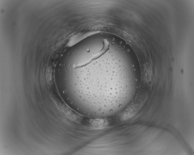 X0000069390230200605121219