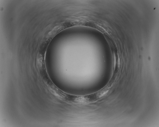 X0000069390231200605121219