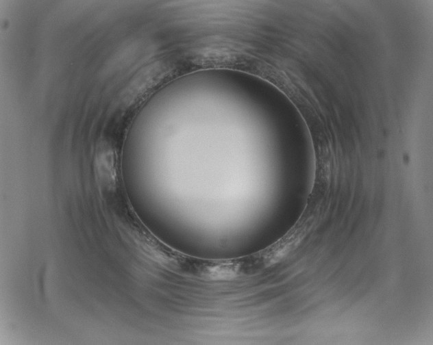 X0000069390232200605121219