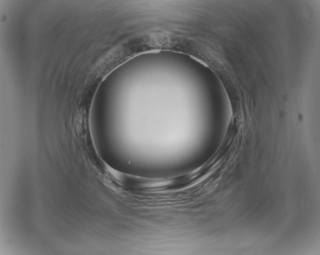 X0000069390233200605121219