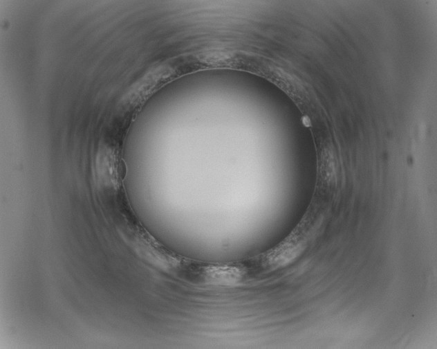 X0000069390234200605121219