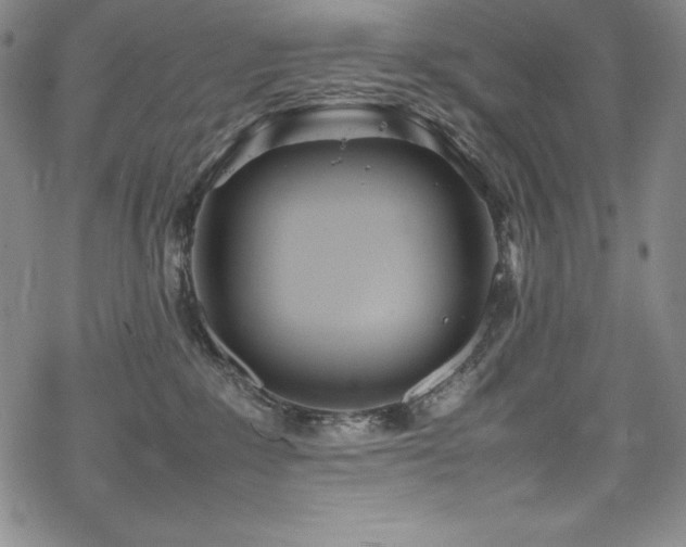 X0000069390235200605121219