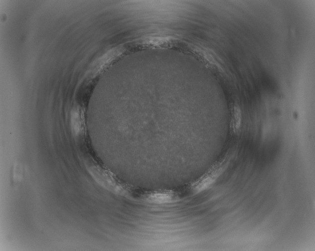 X0000069390236200605121219