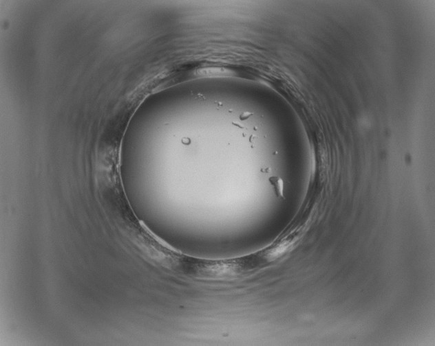 X0000069390237200605121219