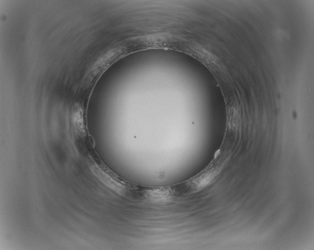 X0000069390238200605121219