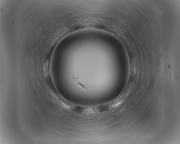 X0000069390239200605121219