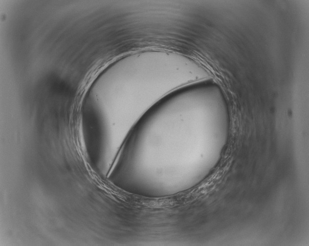 X0000069390241200605121218