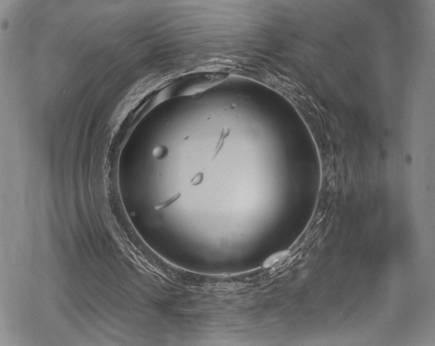 X0000069390242200605121218