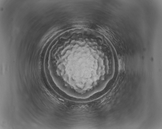 X0000069390243200605121218