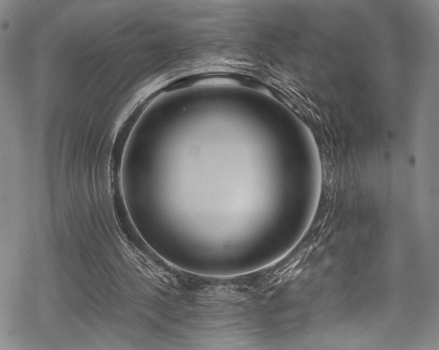 X0000069390244200605121218