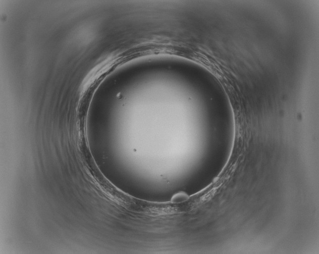 X0000069390245200605121218