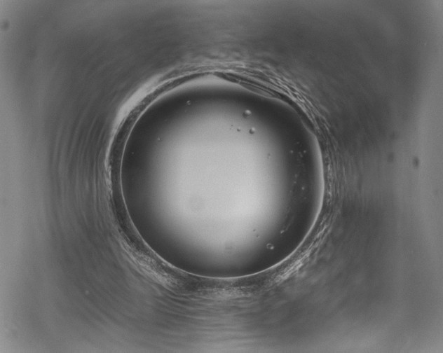 X0000069390246200605121218