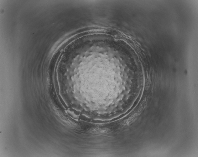 X0000069390247200605121218