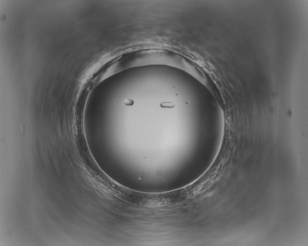 X0000069390248200605121218