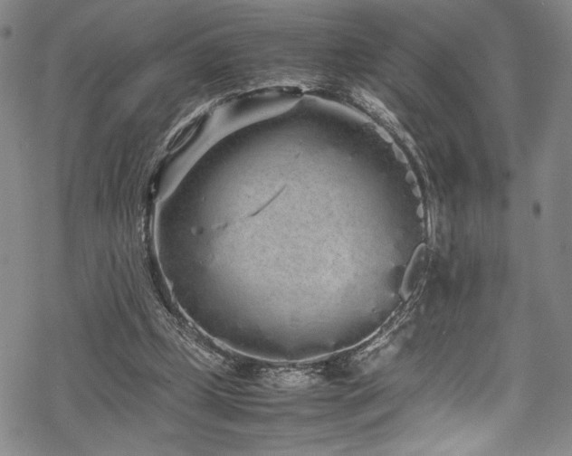 X0000069390249200605121218