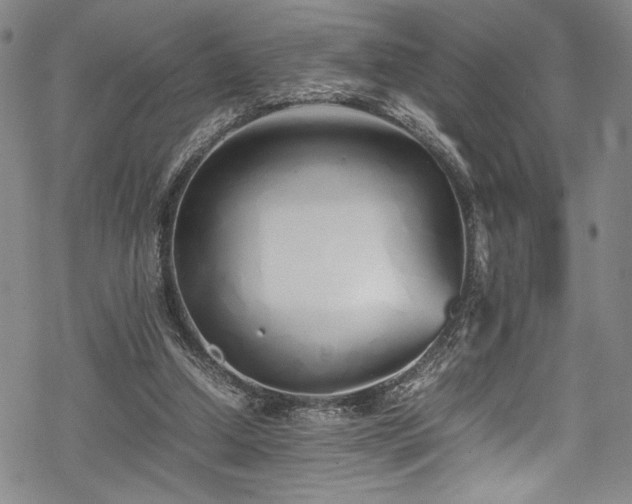 X0000069390250200605121218