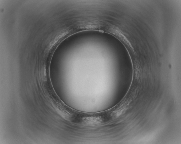 X0000069390251200605121218