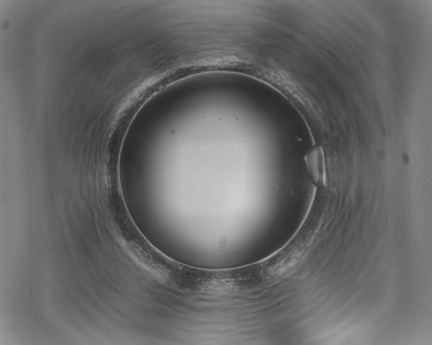 X0000069390252200605121218