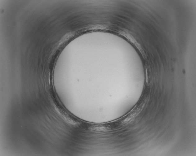 X0000069390253200605121218