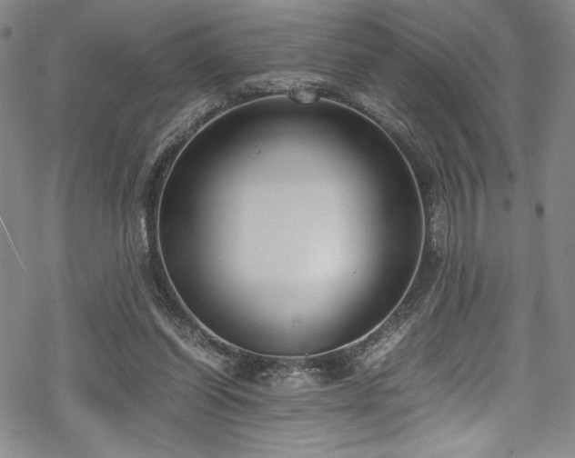 X0000069390254200605121218