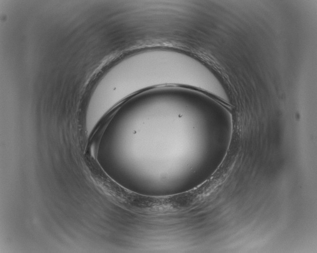 X0000069390256200605121218