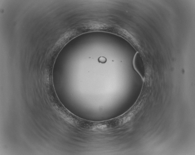 X0000069390257200605121218